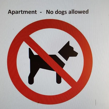 Kramer Maison d'hôtes Grafenhausen